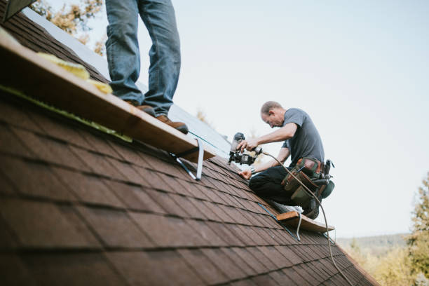 Quick and Trustworthy Emergency Roof Repair Services in Pine Island Center, FL